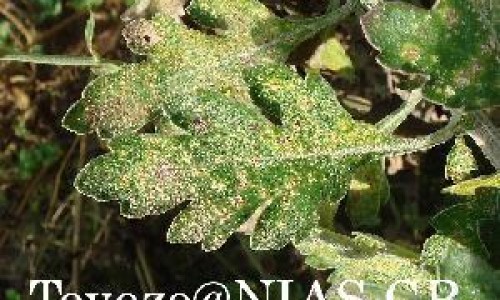 宝宝知道网站秒懂百科专区_宝宝知道网站秒懂百科专区_百度宝宝知道是什么样的网